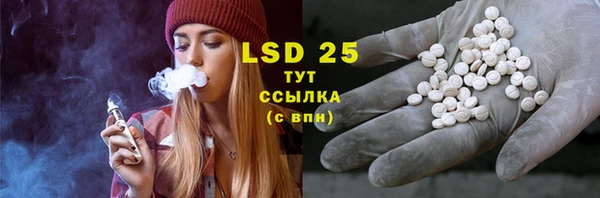 прущие грибы Горняк