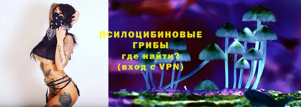 MDMA Premium VHQ Гусиноозёрск