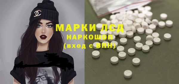 прущие грибы Горняк