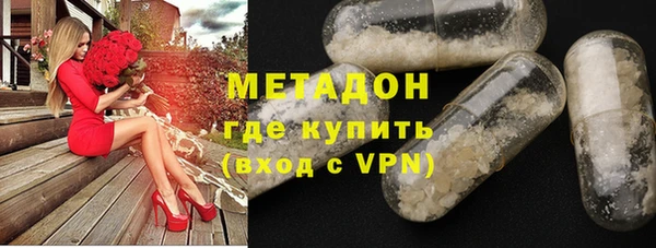 прущие грибы Горняк