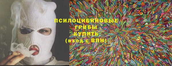 прущие грибы Горняк