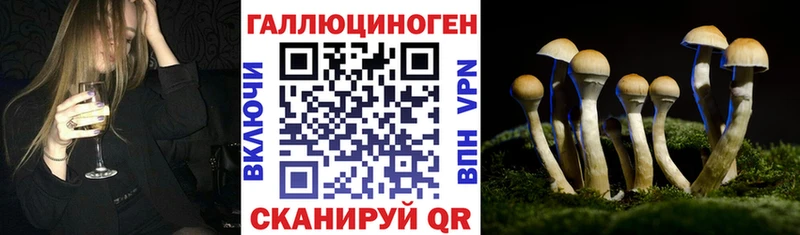 купить наркотик  kraken ONION  Псилоцибиновые грибы Psilocybe  Зверево 